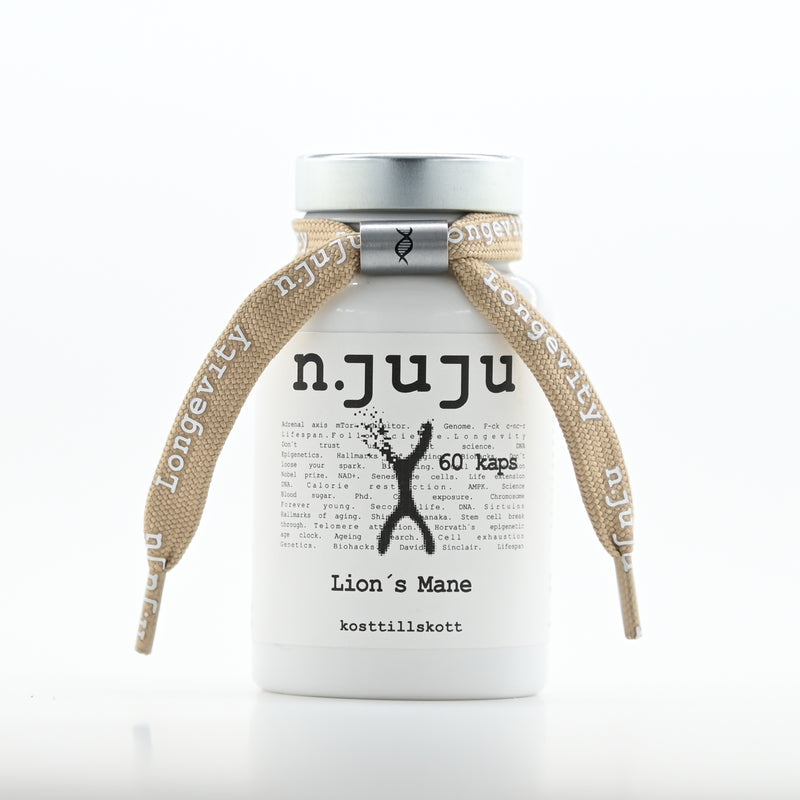 Lion´s Mane 500 mg. 60 kapslar